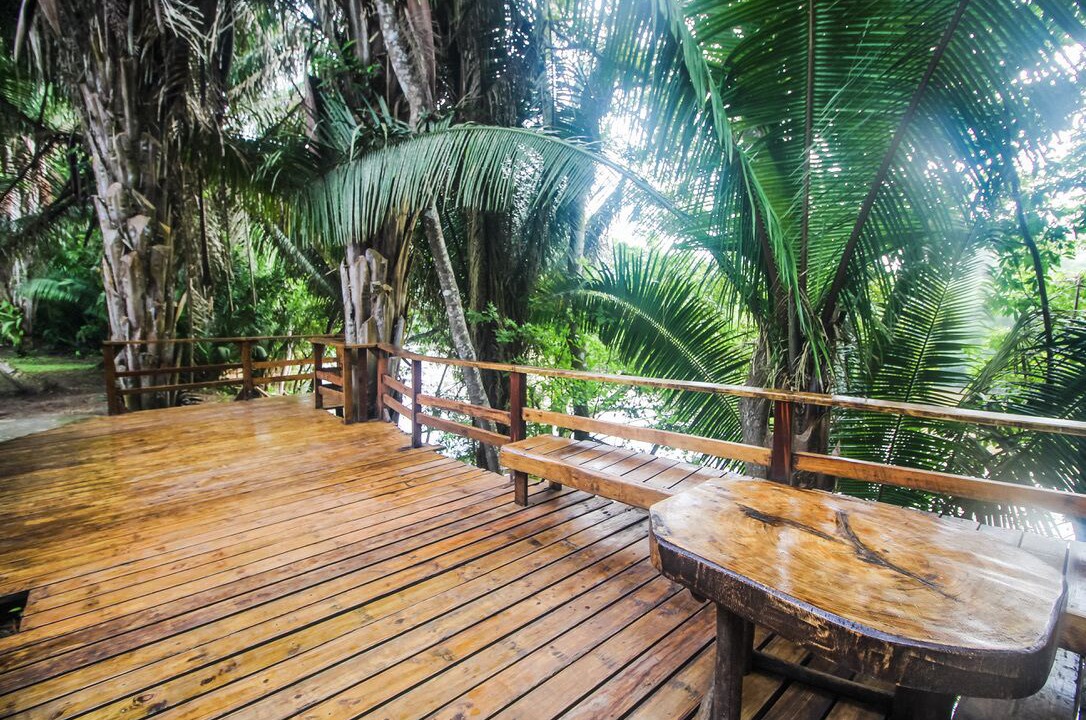Photo of Patio Balcony in Bullet Tree Falls