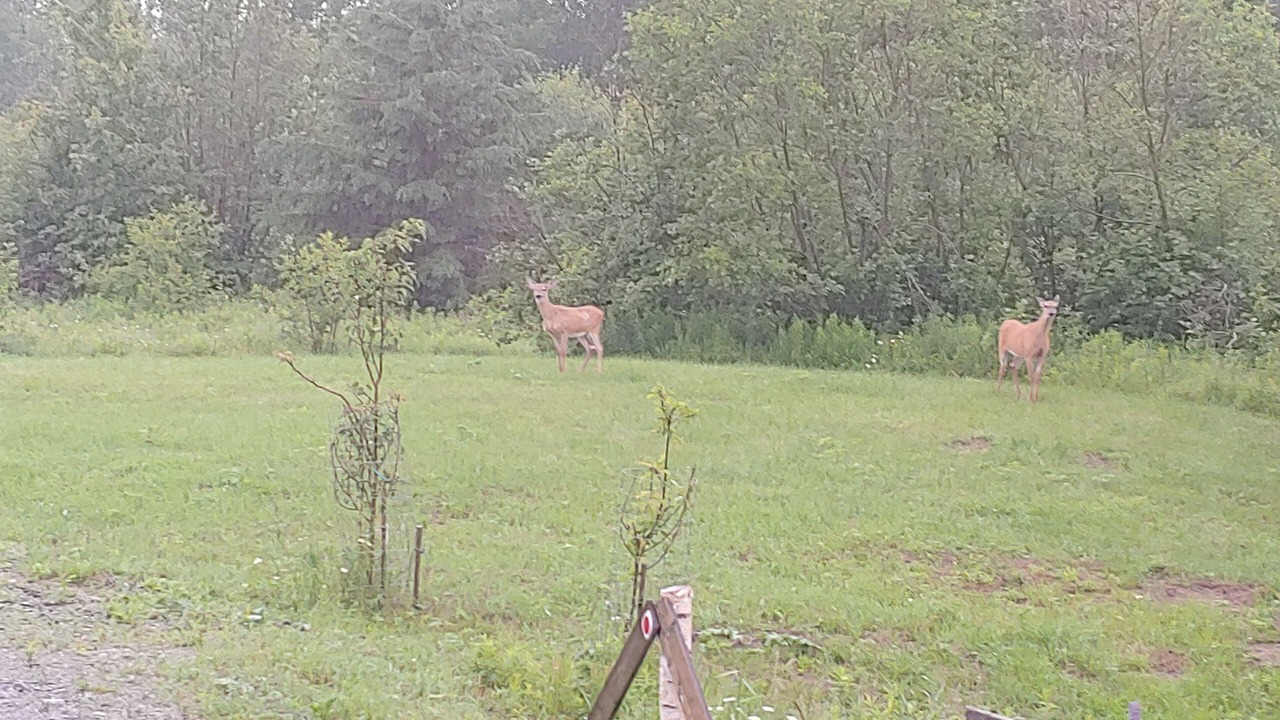 Photo of Others in Lamoine