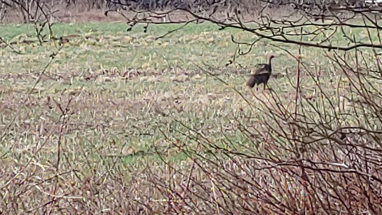 Photo of Outdoor in Lamoine