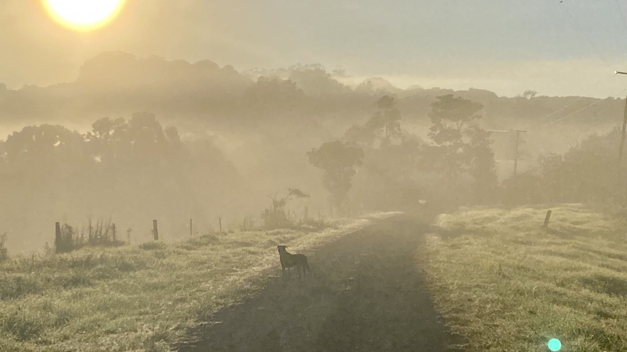 Photo of Others in Clunes
