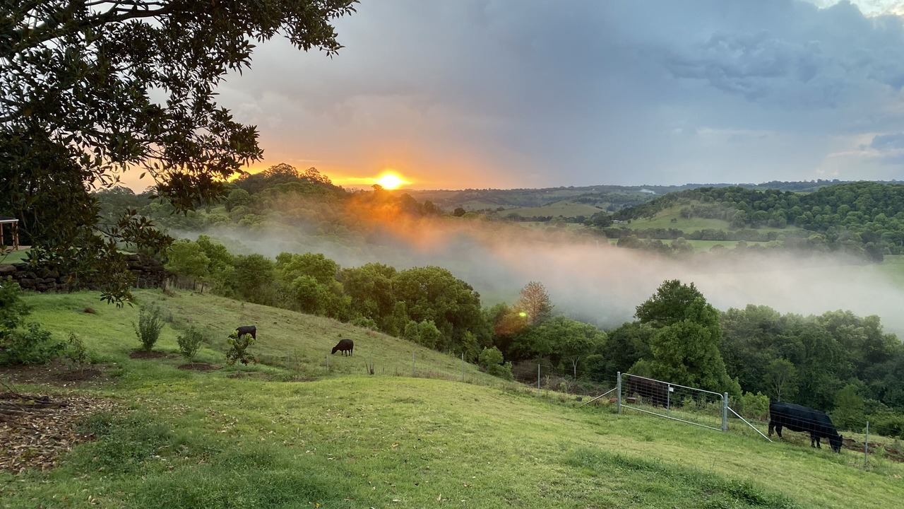 Photo of Outdoor in Clunes