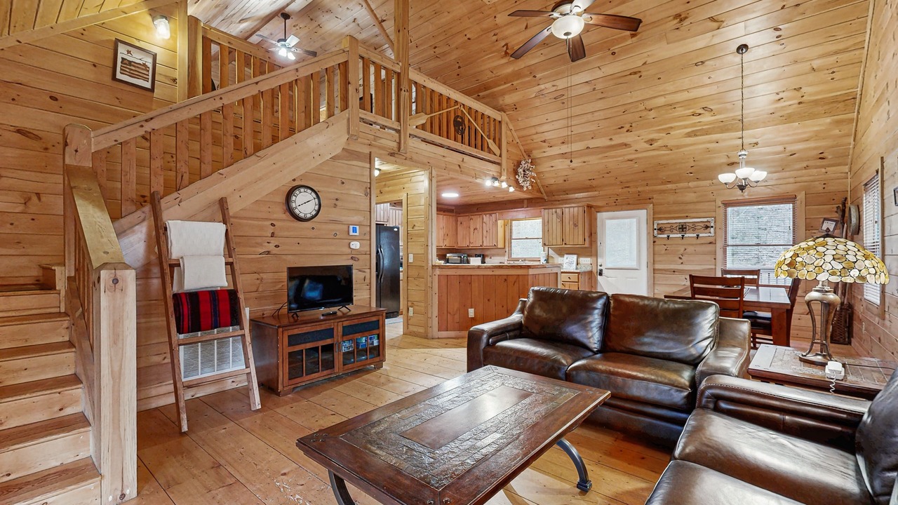 Photo of Livingroom in Sylva
