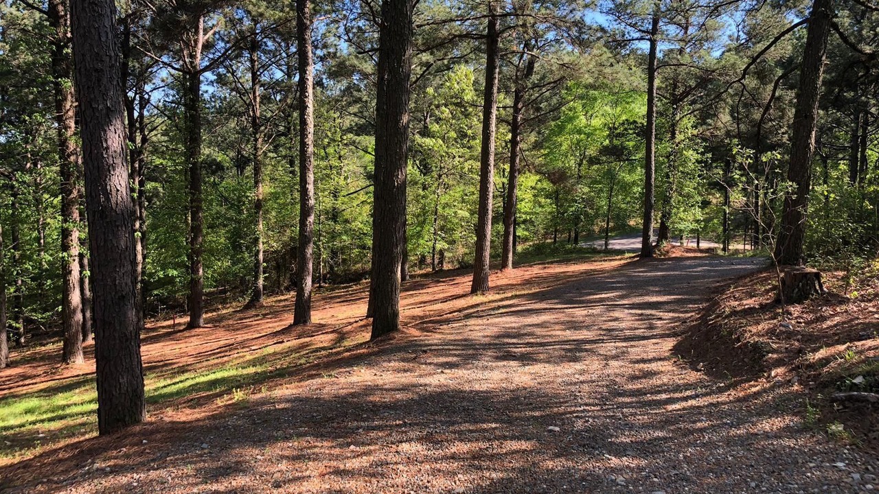 Photo of Others in Broken Bow