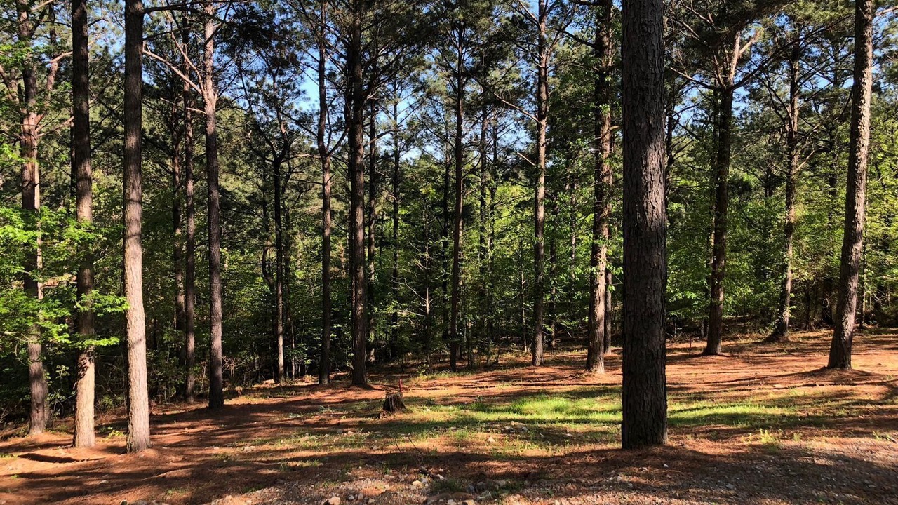 Photo of Others in Broken Bow