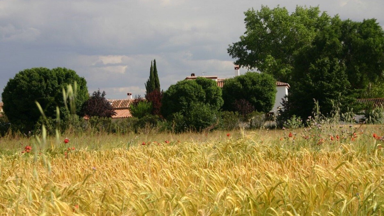 Photo of Outdoor in Alameda de Cervera