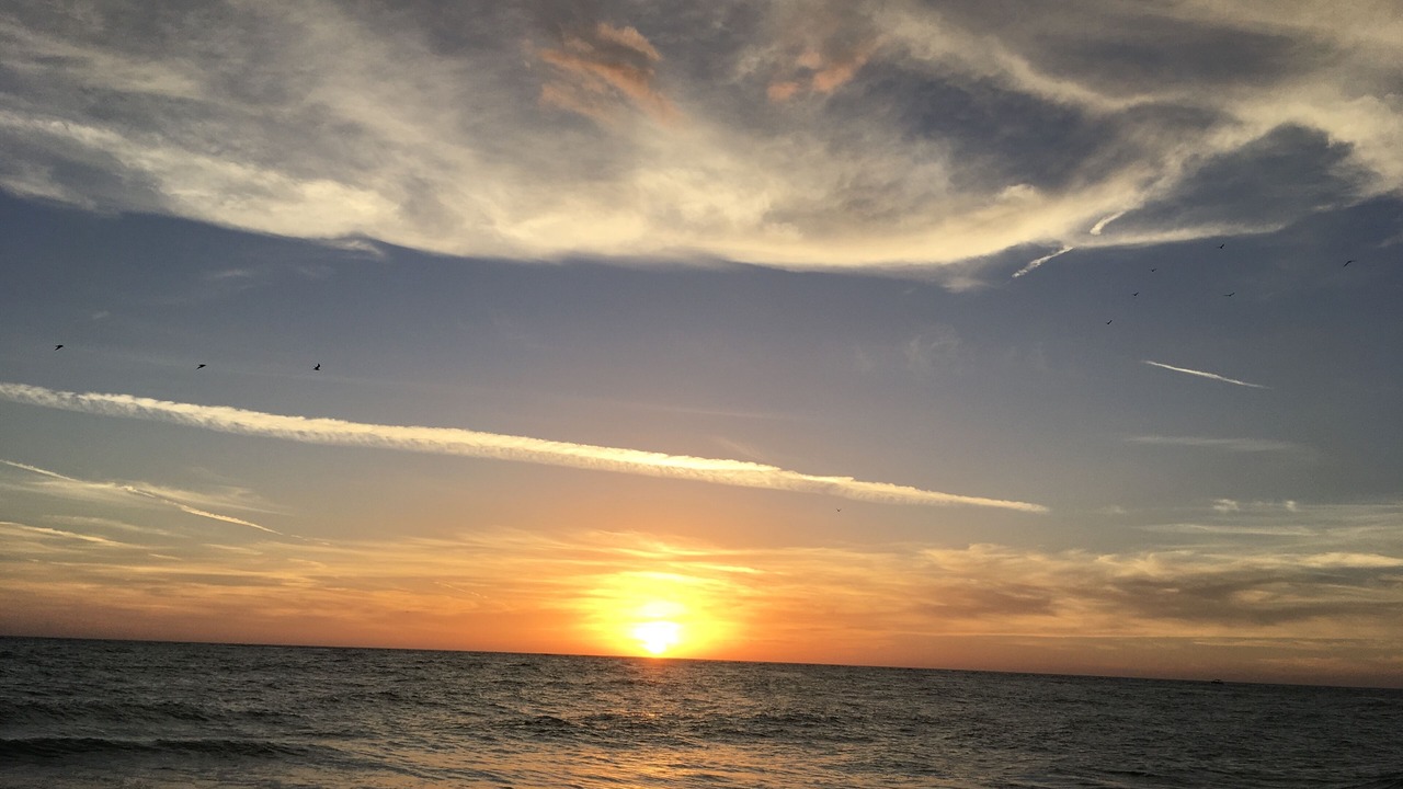 Photo of Others in Whitney Beach