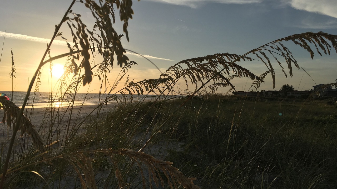 Photo of Others in Whitney Beach