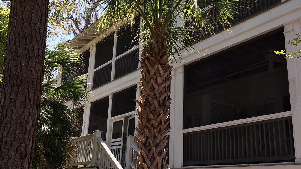 Photo of Outdoor in Melrose on the Beach