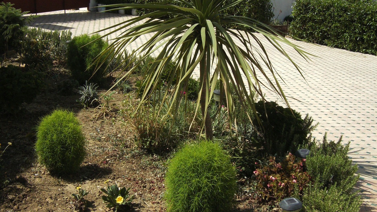 Photo of Outdoor in Feddane Chappo
