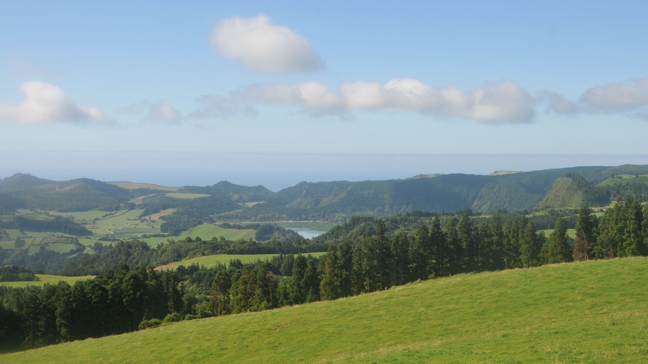 Photo of Others in Furnas