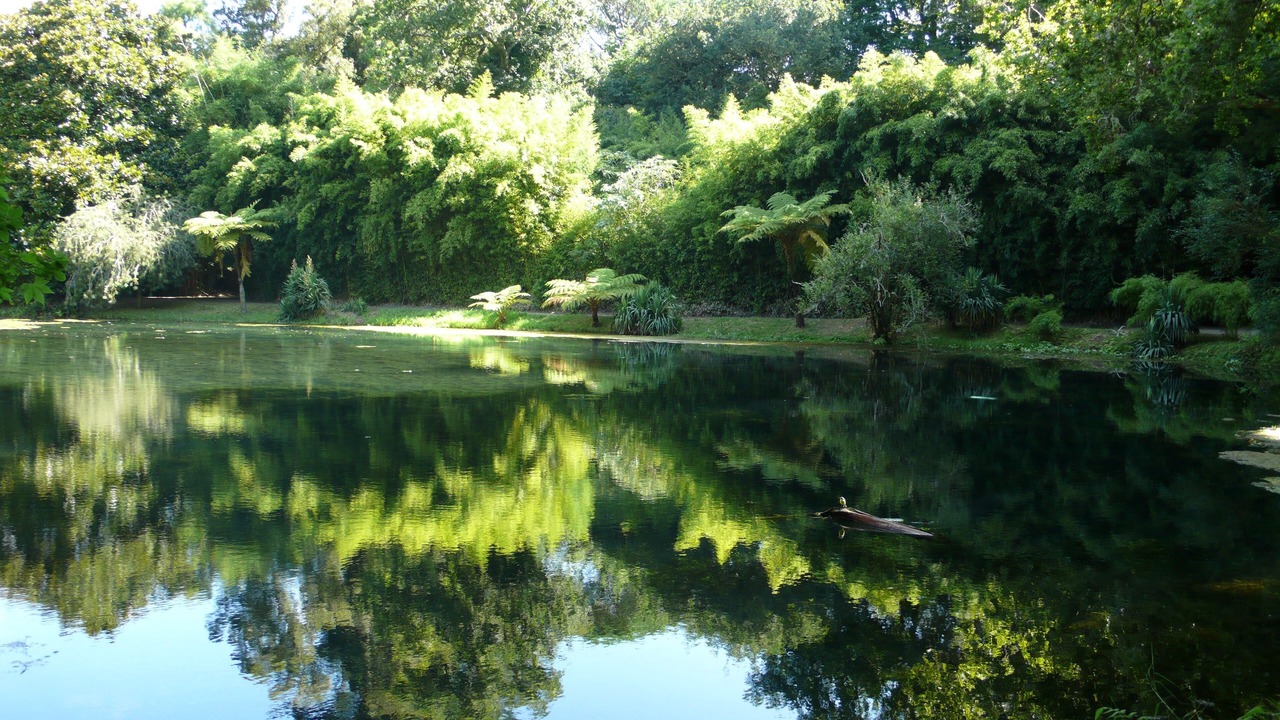 Photo of Outdoor in Furnas