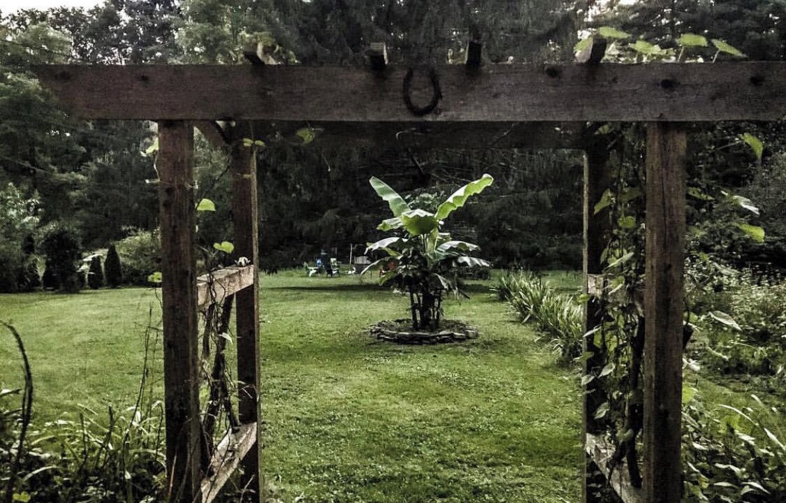 Photo of Outdoor in Coburn