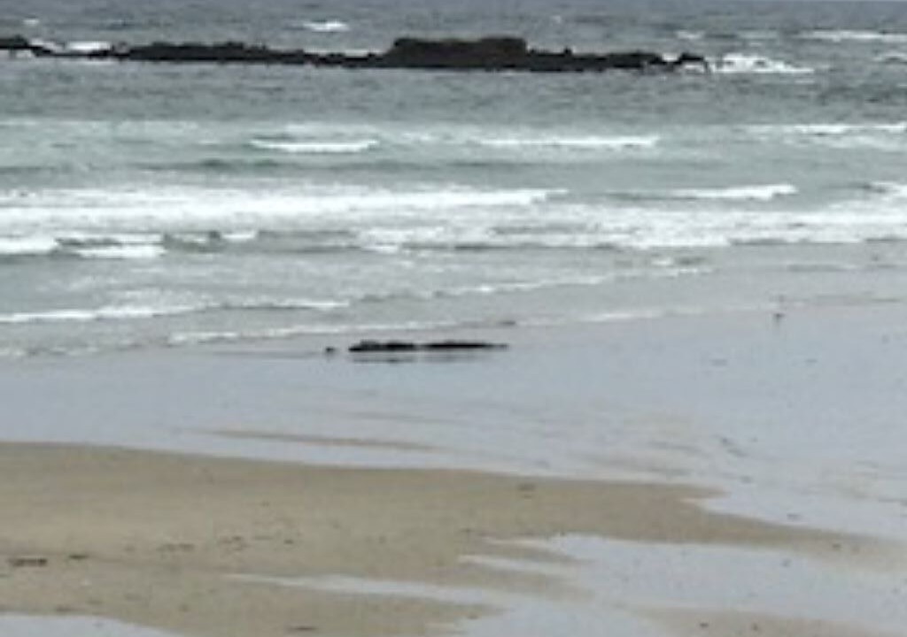 Photo of Others in Wells Beach