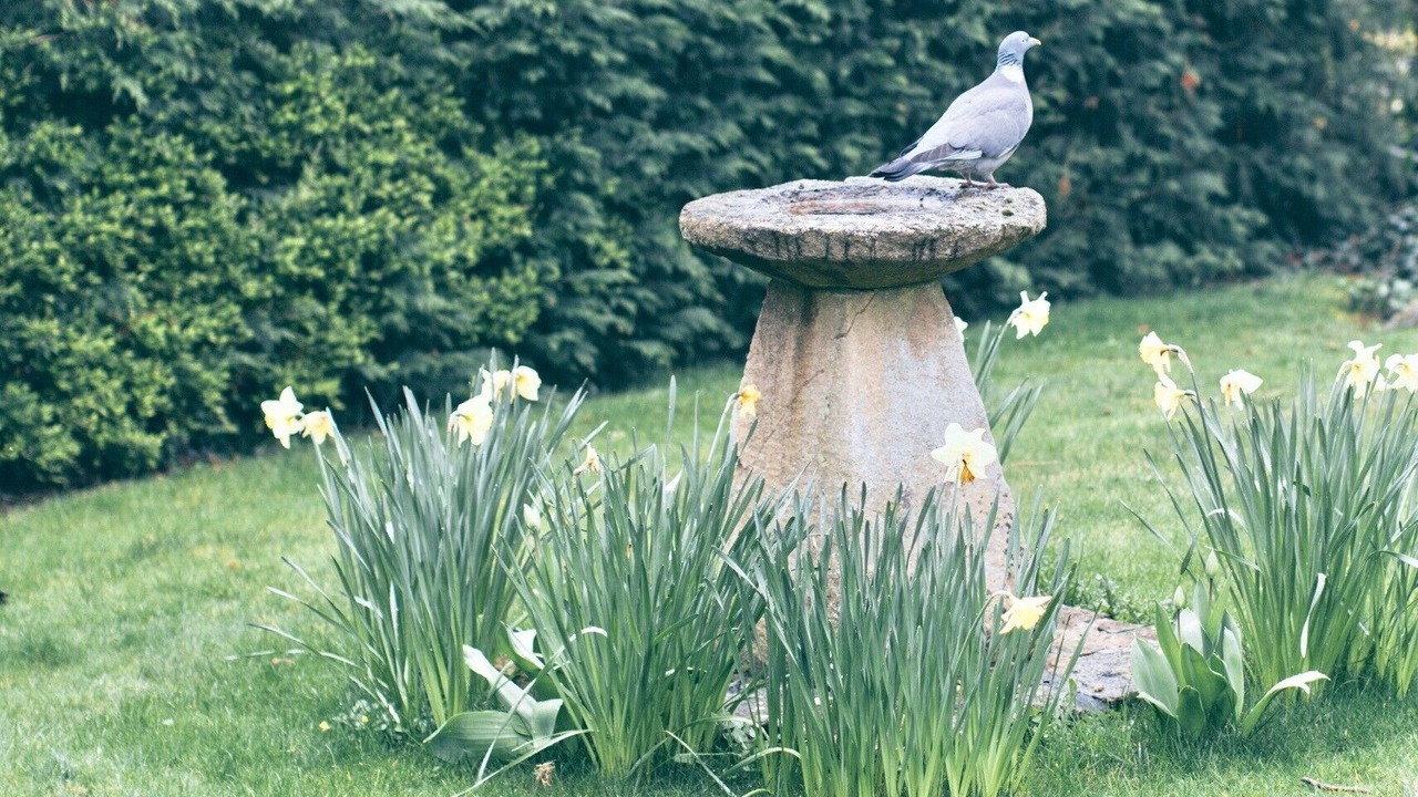 Photo of Outdoor in Chipping Campden