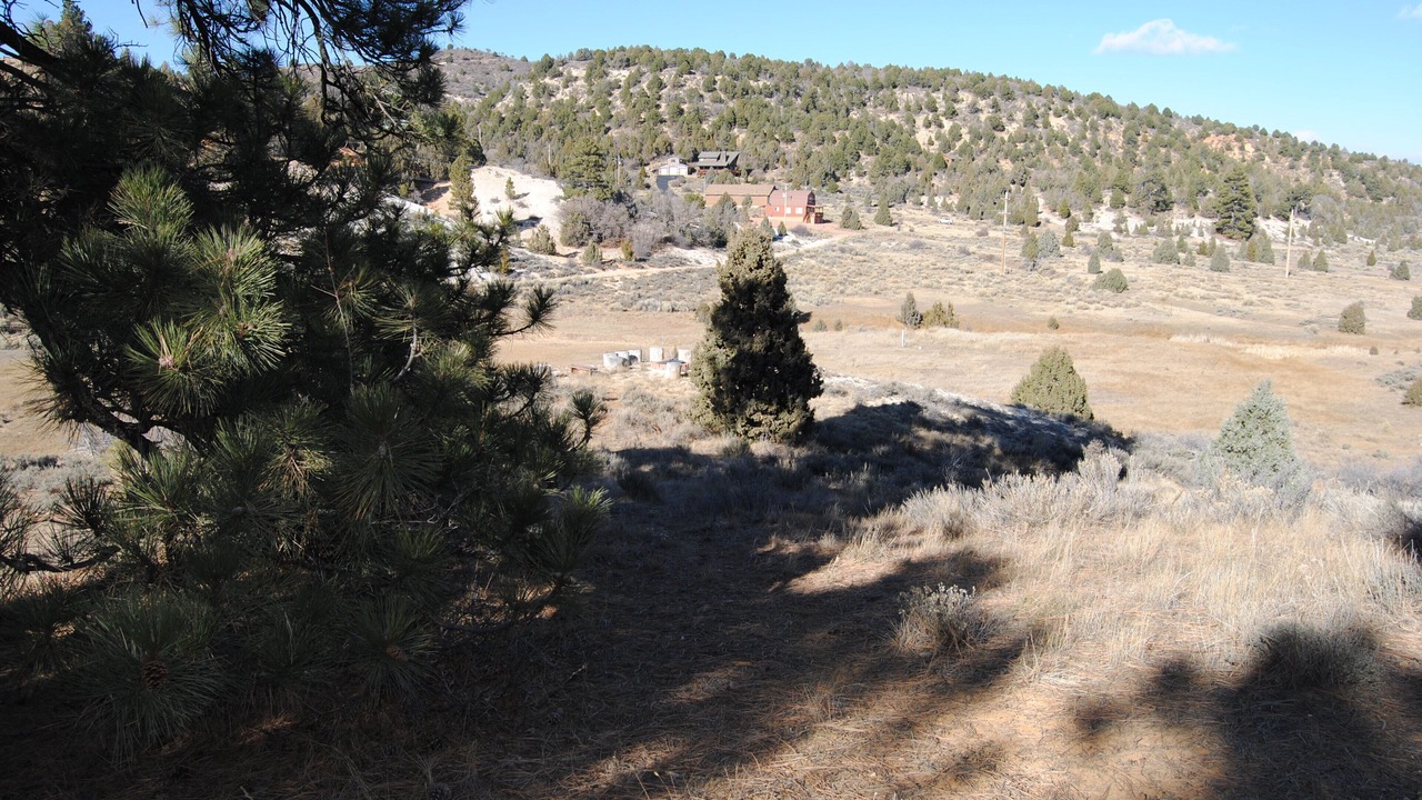 Photo of Outdoor in Long Valley Junction
