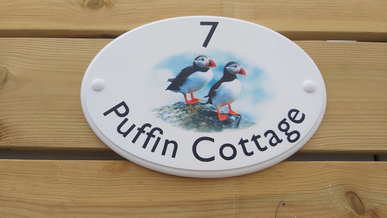 Photo of Others in Portreath