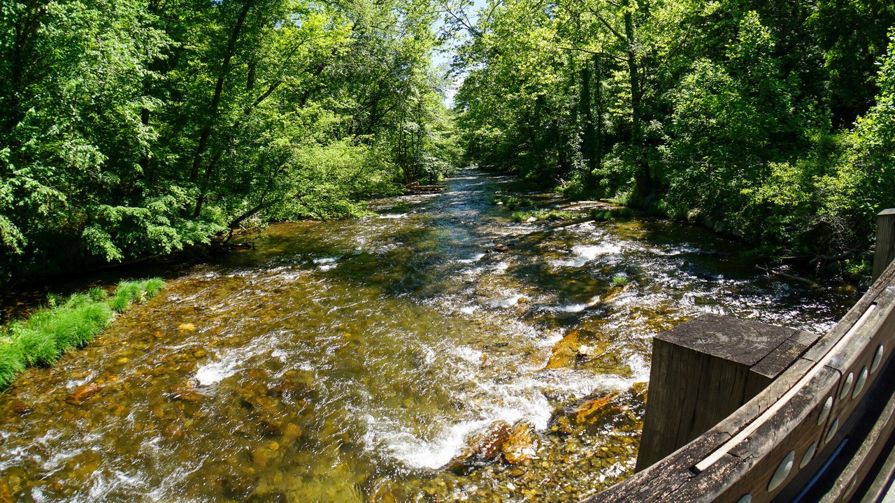 Photo of Others in Bryson City