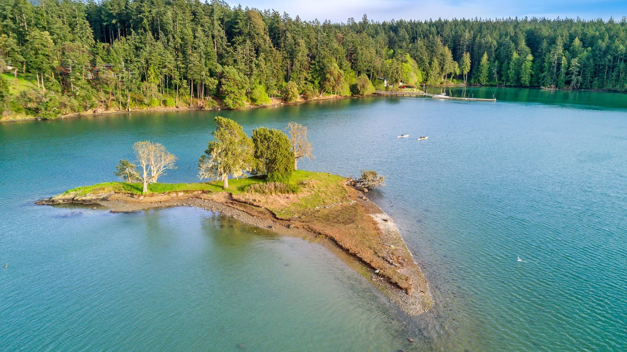 Photo of Others in Friday Harbor