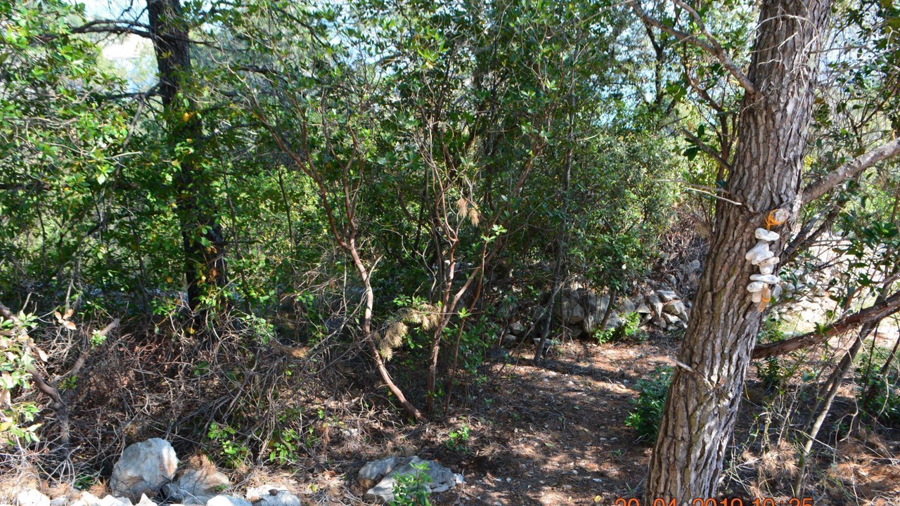 Photo of Outdoor in Rogac