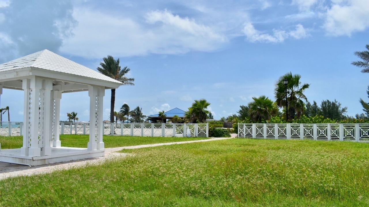 Photo of Outdoor in Alice Town