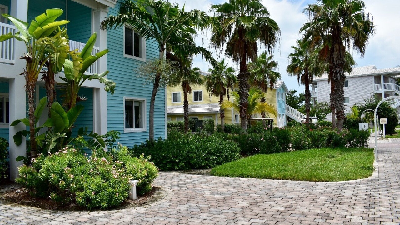 Photo of Outdoor in Alice Town
