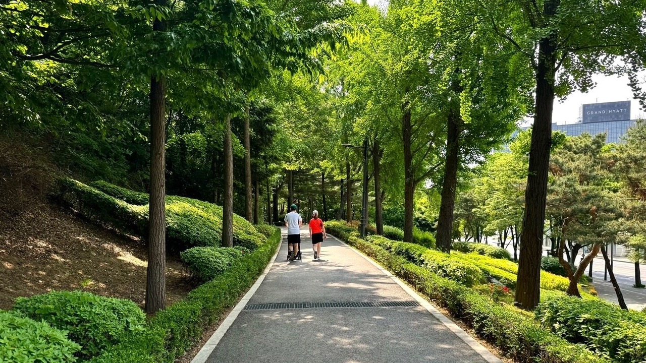 Photo of Others in Yongsan-gu