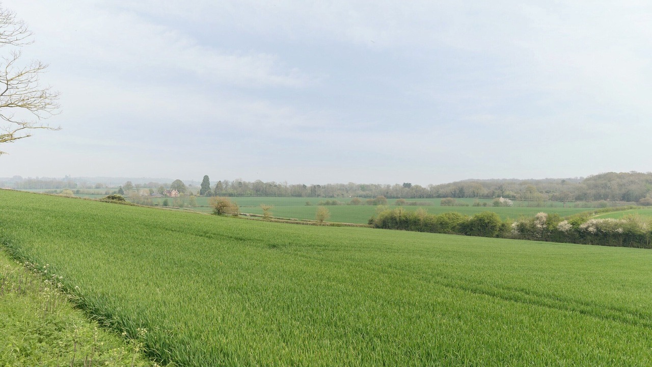 Photo of Others in Blaisdon