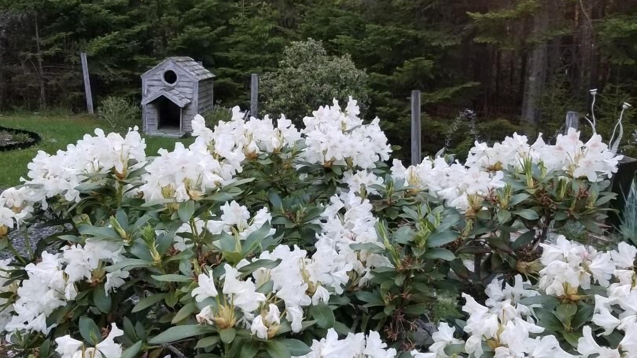 Photo of Outdoor in Bass Harbor