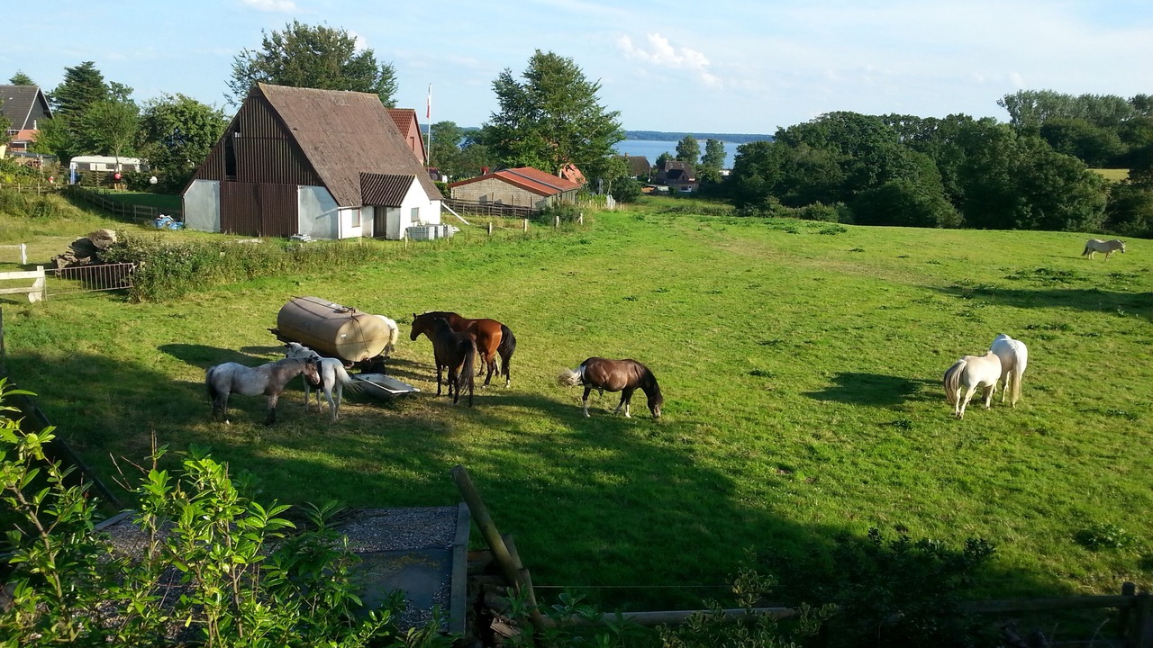 Photo of Outdoor in Langholz