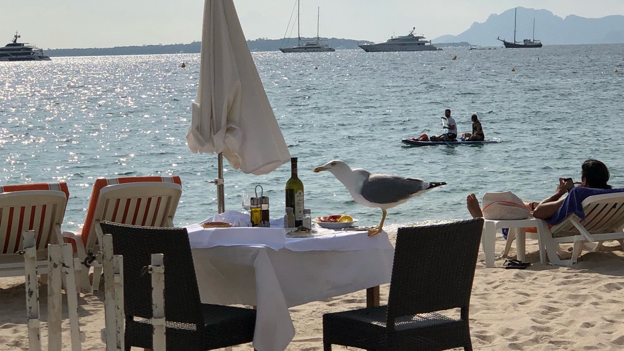 Photo of Outdoor in Cros-de-Cagnes