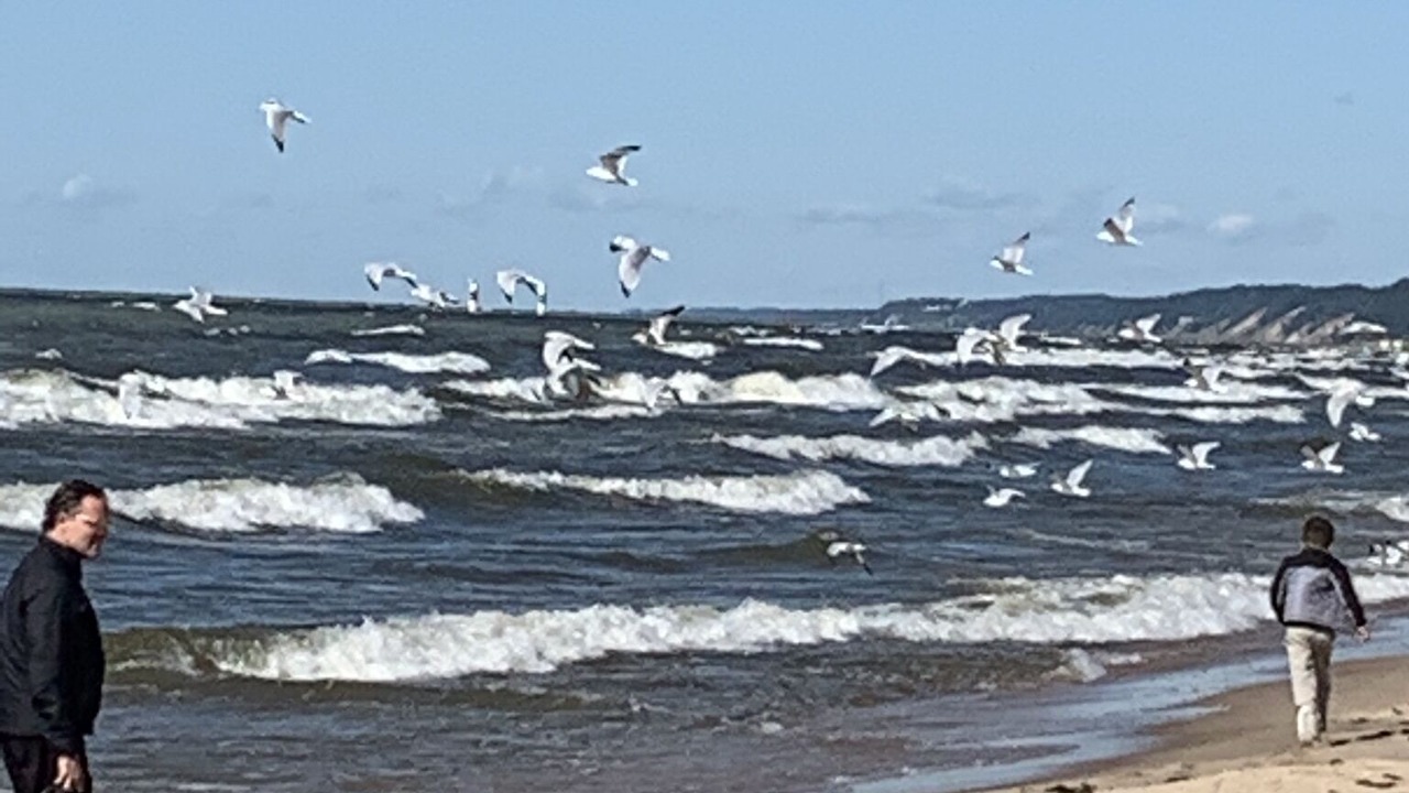 Photo of Others in Saugatuck