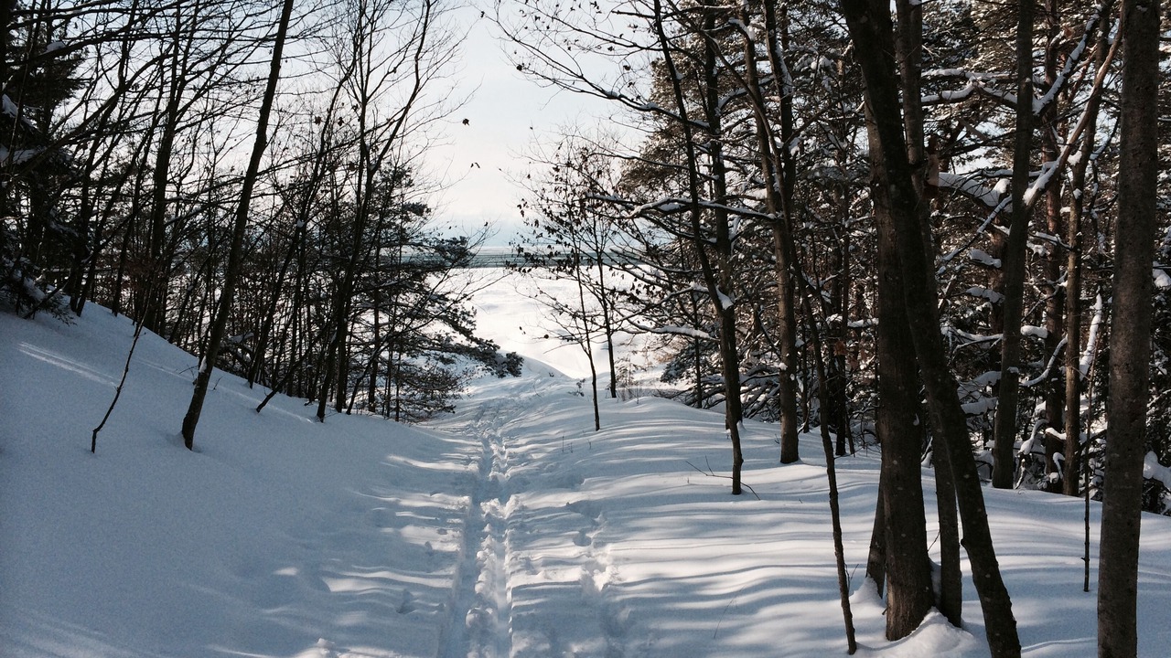 Photo of Others in Saugatuck