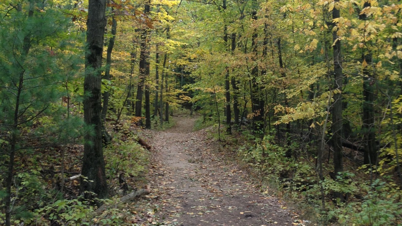 Photo of Outdoor in Saugatuck