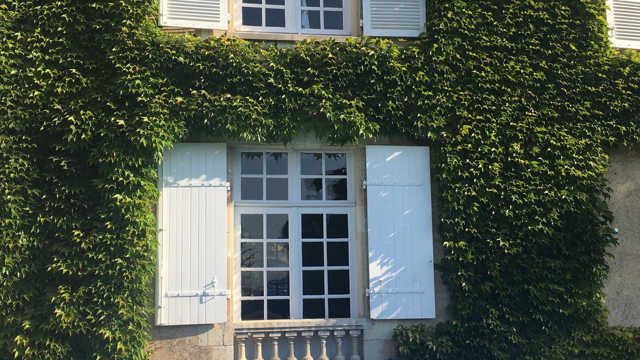 Photo of Outdoor in Jaunay-Marigny