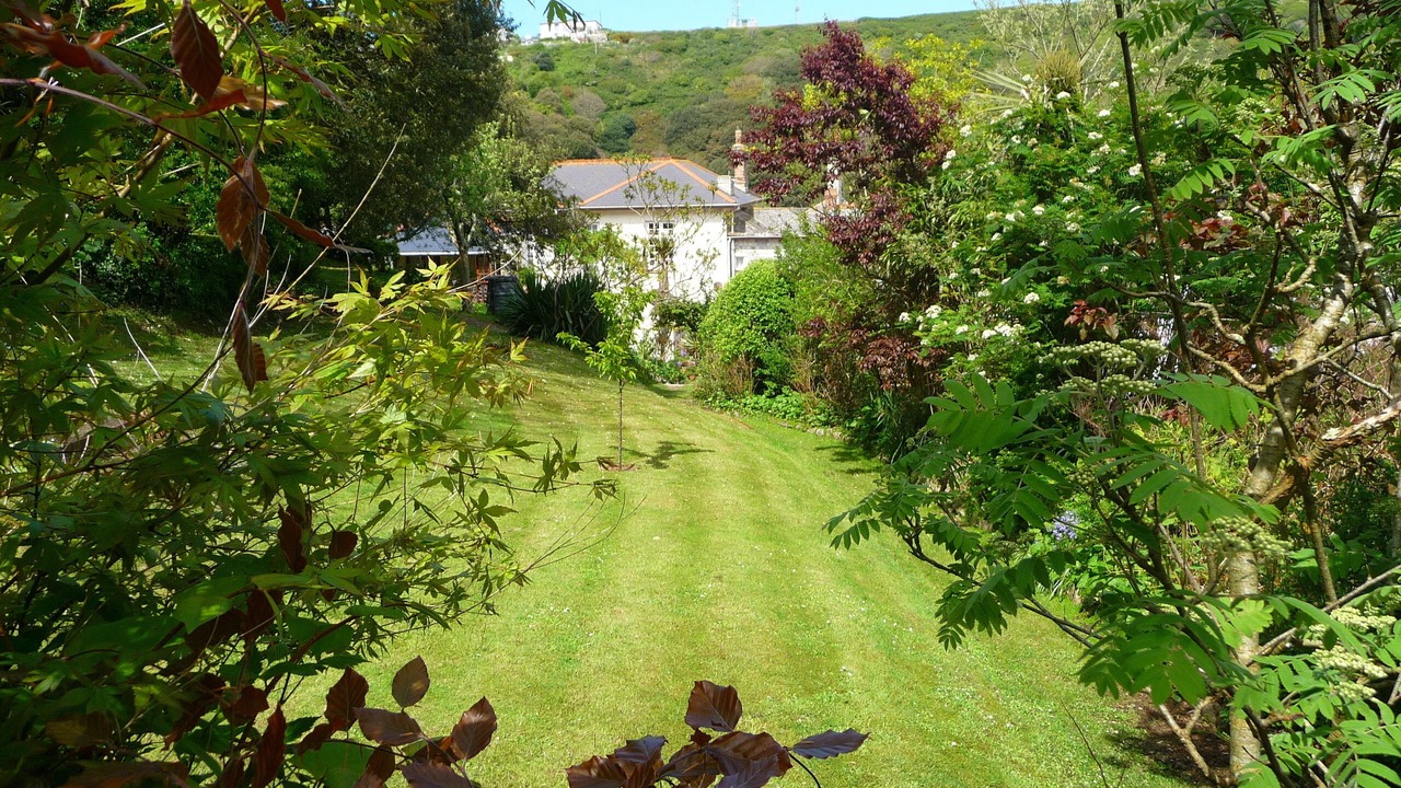 Photo of Outdoor in Portreath