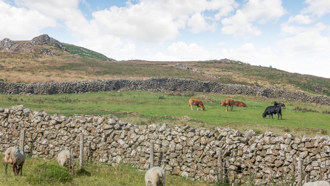Photo of Outdoor in Mynytho
