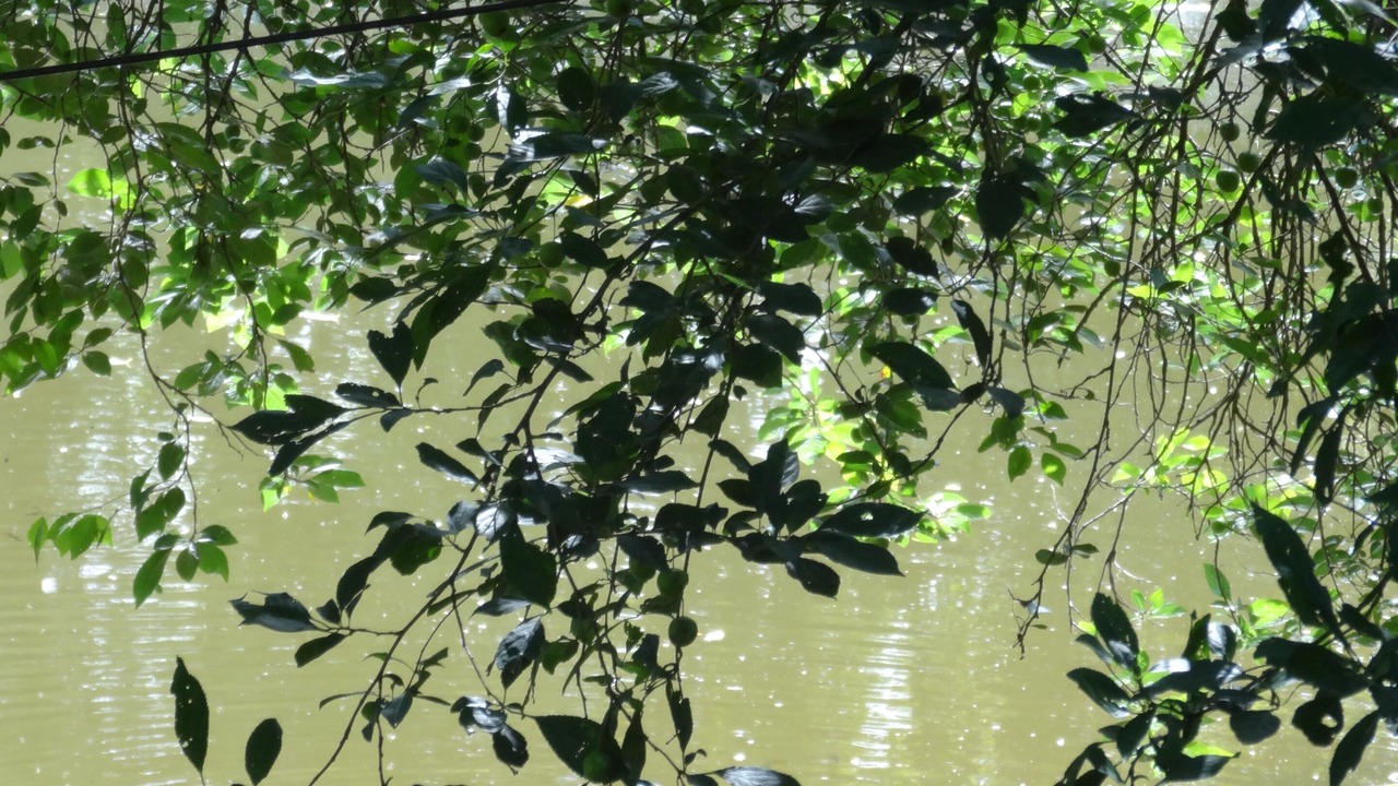 Photo of Outdoor in Ligne