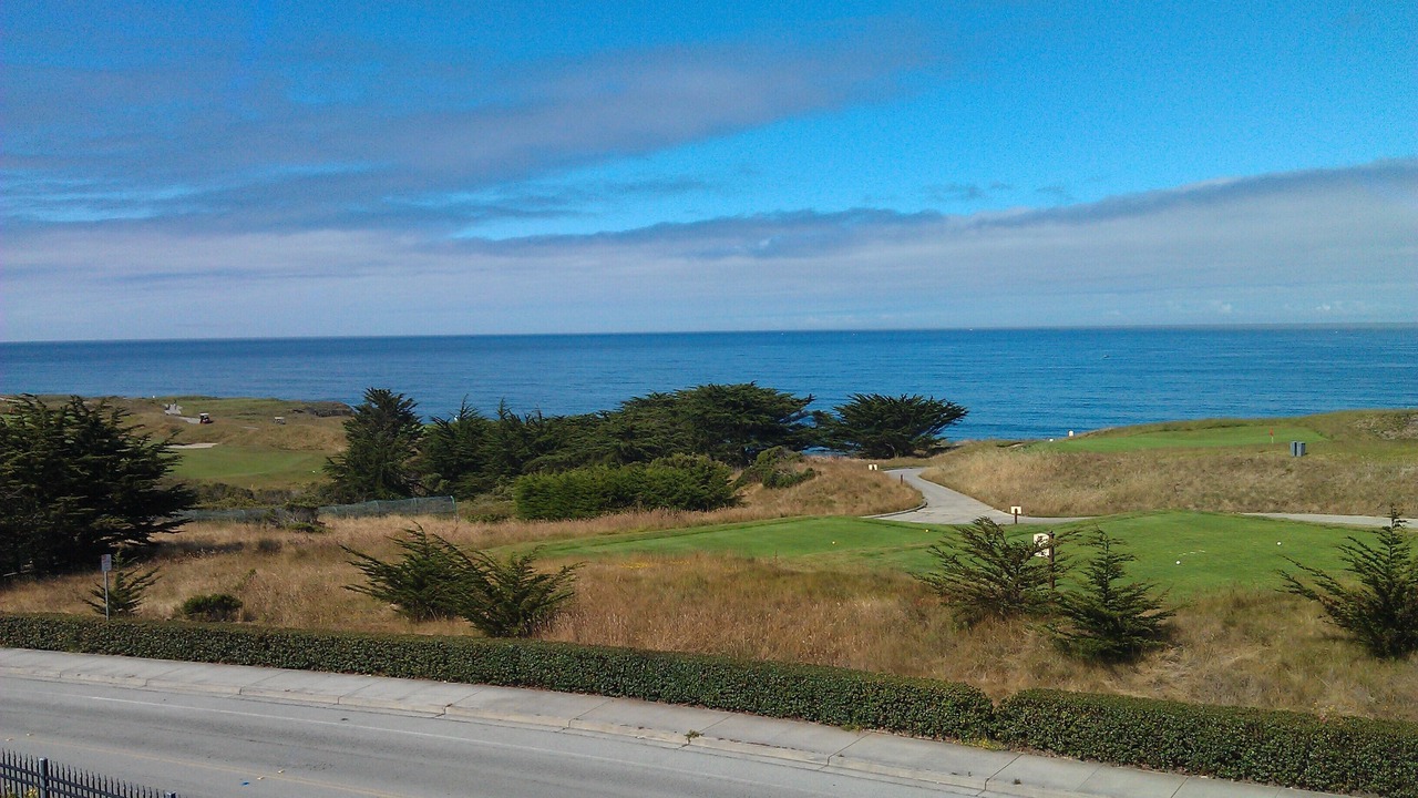 Photo of Others in Half Moon Bay