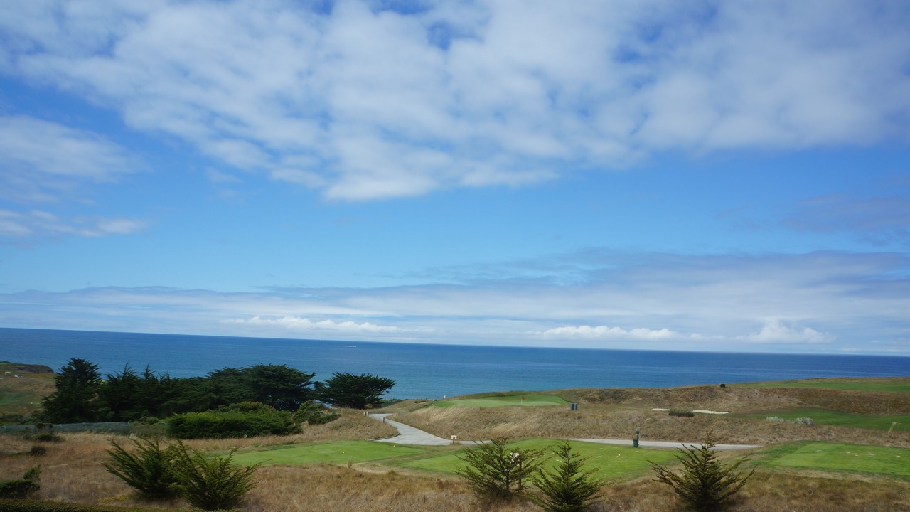 Photo of Others in Half Moon Bay