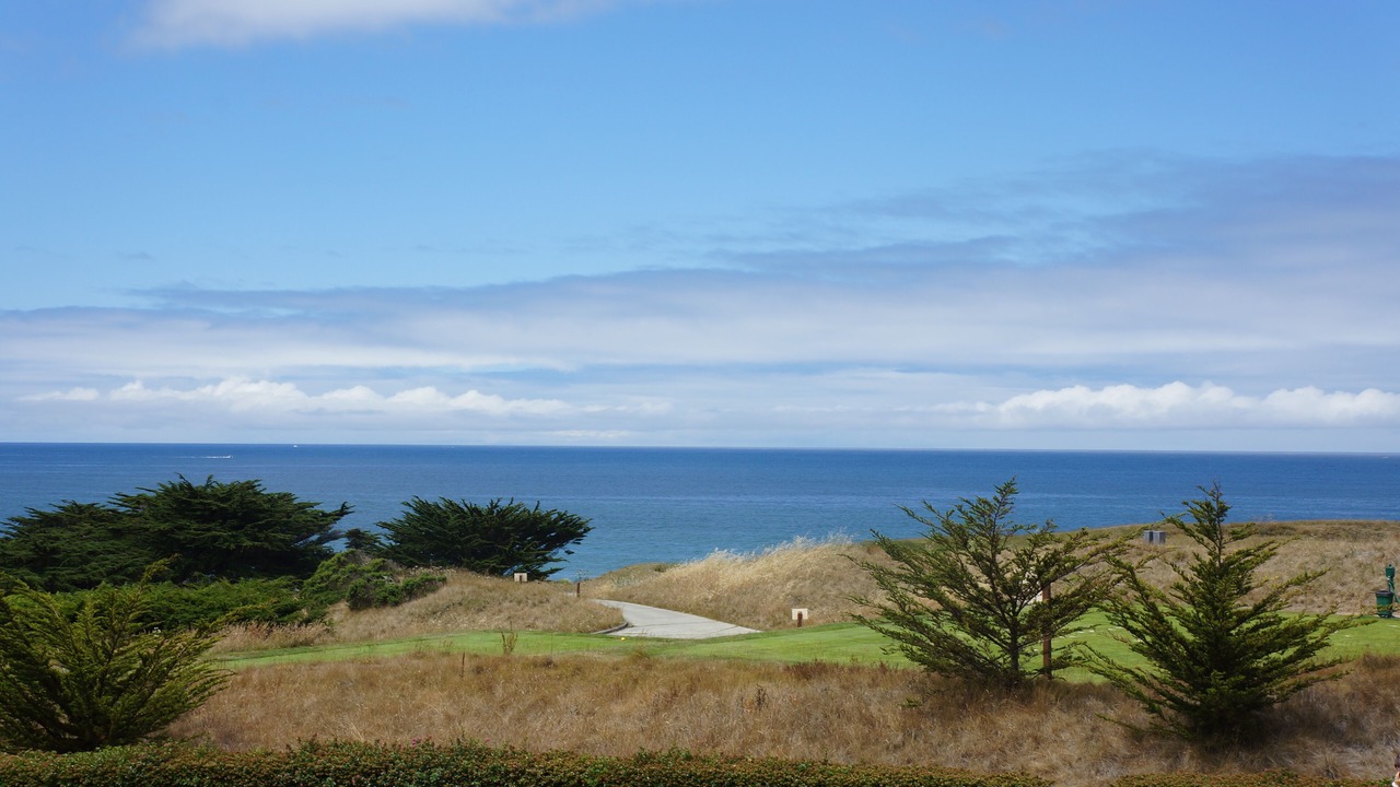 Photo of Others in Half Moon Bay
