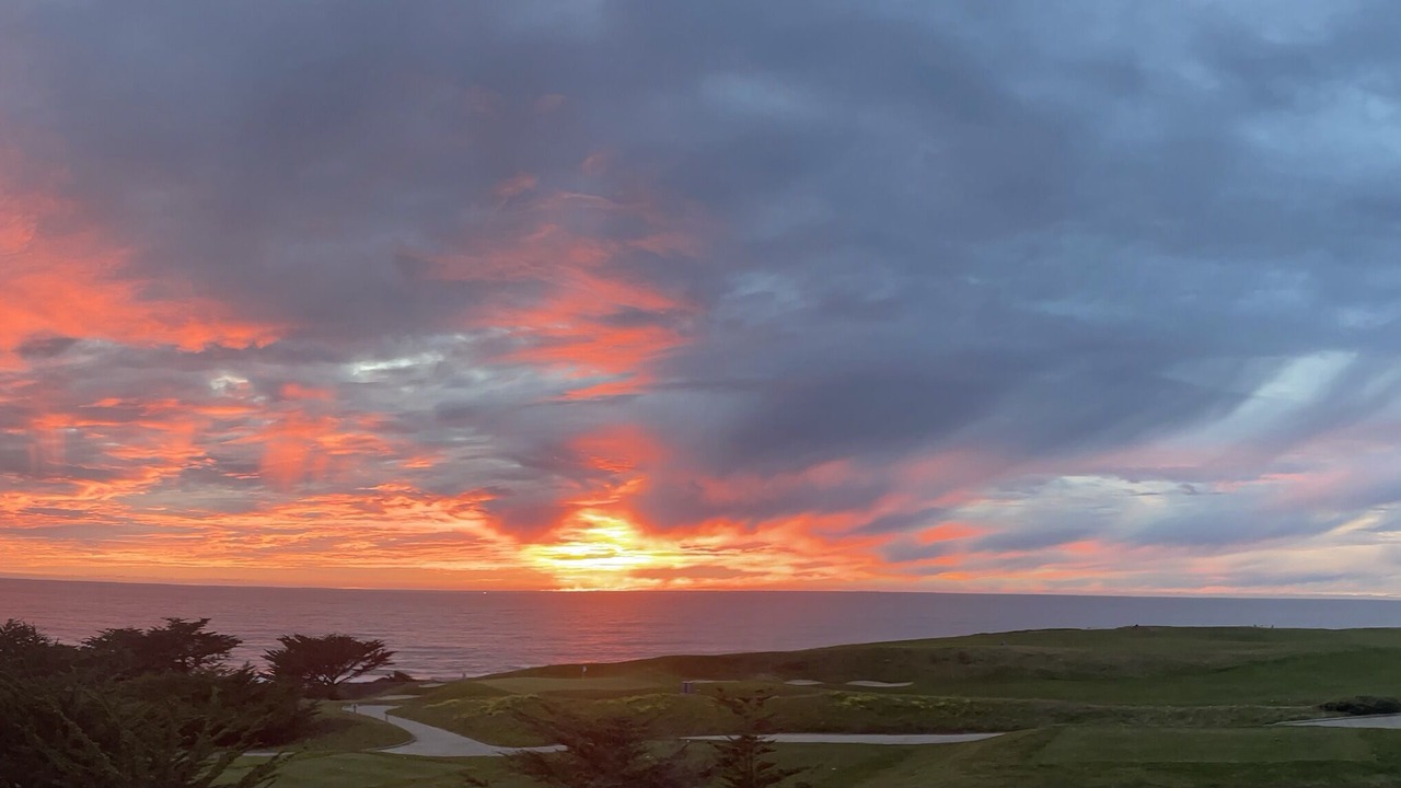 Photo of Others in Half Moon Bay