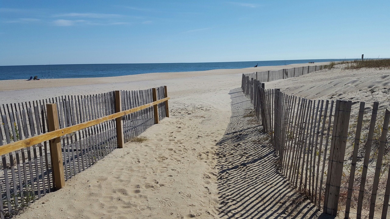 Photo of Others in Bethany Beach