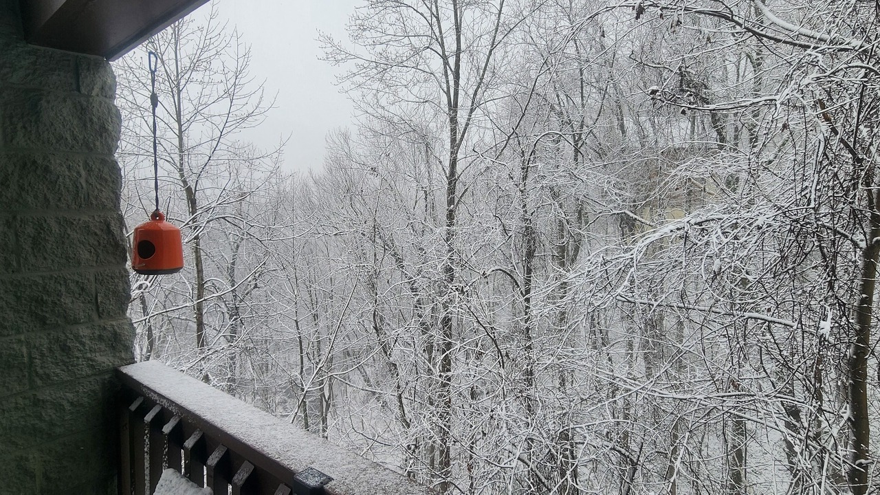Photo of Others in Chalet Village