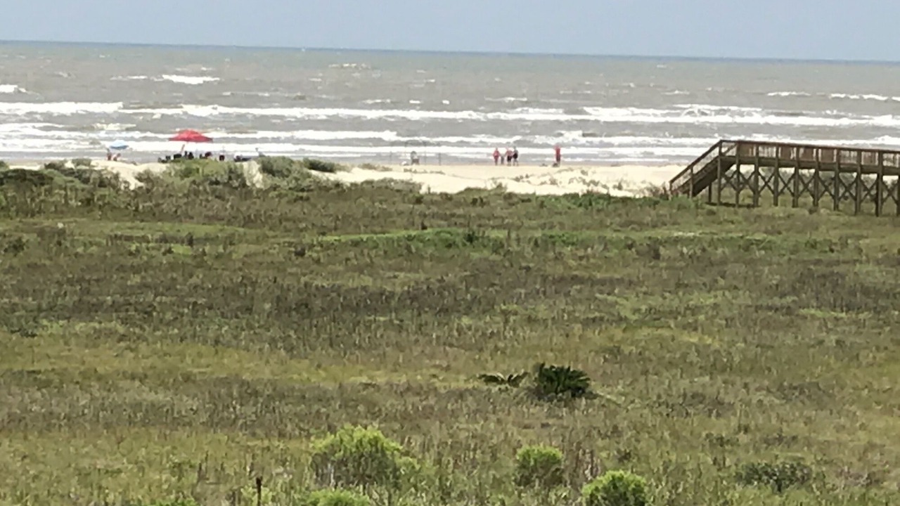 Photo of Others in Red Fish Cove
