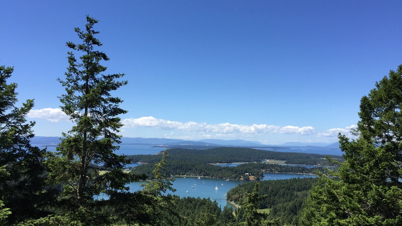 Photo of Others in Roche Harbor