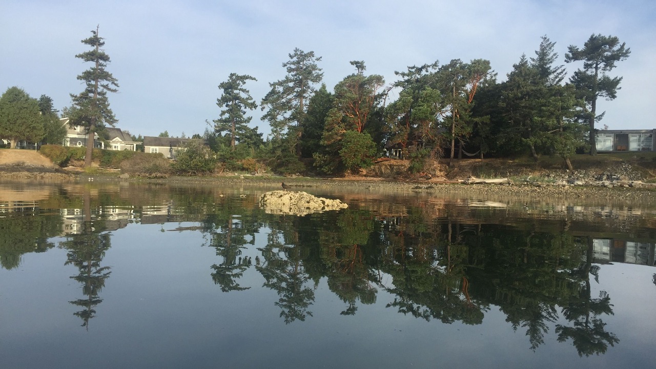 Photo of Outdoor in Roche Harbor