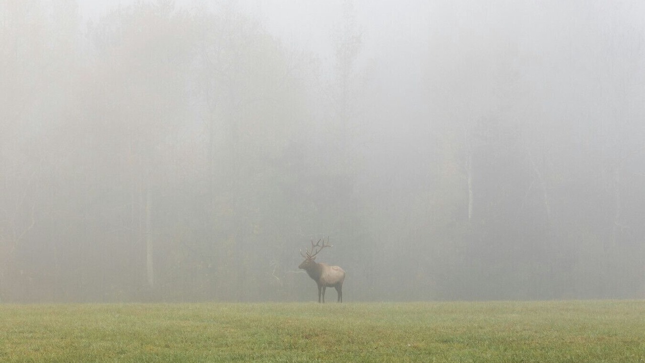 Photo of Others in Jasper