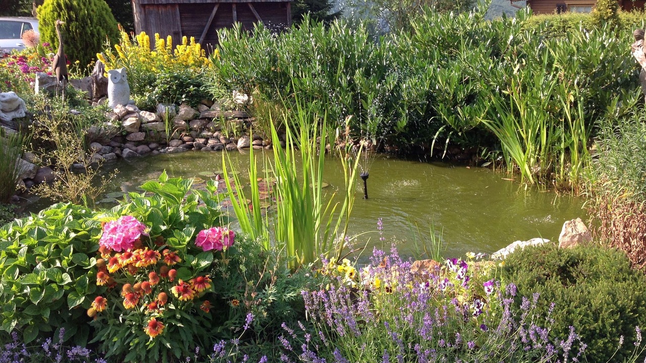 Photo of Outdoor in Scheuren