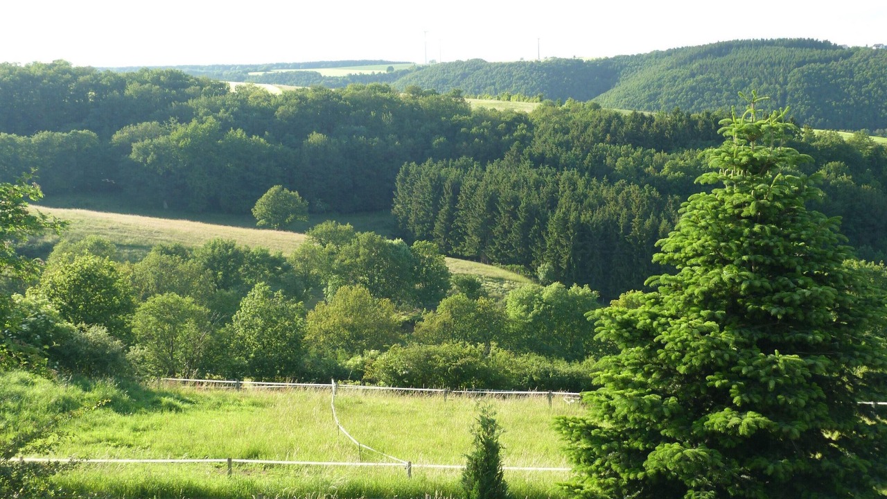 Photo of Outdoor in Scheuren