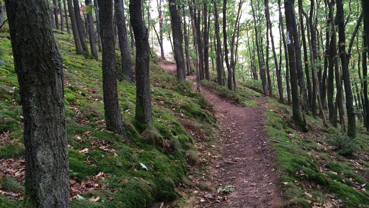 Photo of Outdoor in Scheuren